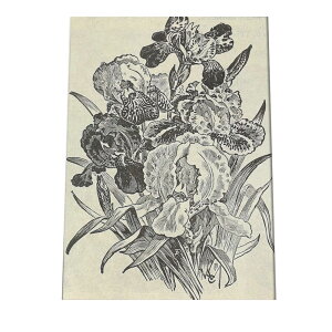 |X^[   mg[ } A ϗt  CeA  A[g _ a0 a1 a2 a3 a4 b0 b1 b2 b3 b4  傫  cybn-poster-45z