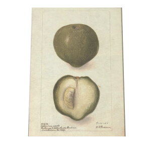 miV  t[c  A |X^[ } g Â re[W I[h fW^}X^[ CeA  A[g Î  cybn-poster-460z