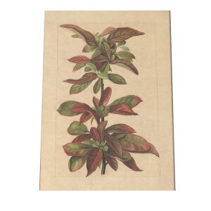 A t  {^jJ  A |X^[ } g Â re[W I[h fW^}X^[ CeA  A[g Î  cybn-poster-462z