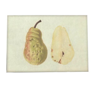 miV  t[c  A |X^[ } g Â re[W I[h fW^}X^[ CeA  A[g Î  ybn-poster-463z