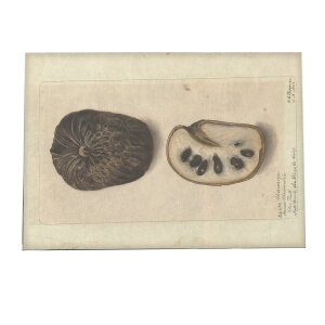 miV  t[c  A |X^[ } g Â re[W I[h fW^}X^[ CeA  A[g Î  ybn-poster-466z