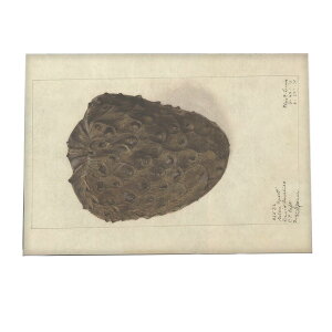 ؂̎  ibc  A |X^[ } g Â re[W I[h fW^}X^[ CeA  A[g Î  ybn-poster-467z