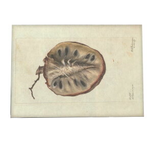 ؂̎  ibc  A |X^[ } g Â re[W I[h fW^}X^[ CeA  A[g Î  ybn-poster-468z