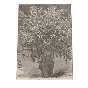 |X^[   mg[ } A ϗt  CeA  A[g _ a0 a1 a2 a3 a4 b0 b1 b2 b3 b4  傫  cybn-poster-46z