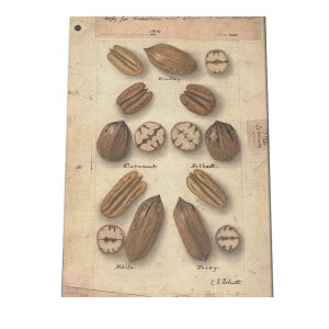 ؂̎  ibc  A |X^[ } g Â re[W I[h fW^}X^[ CeA  A[g Î  cybn-poster-470z