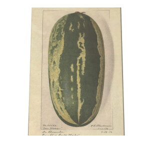 E Z ؂̎ re[W A |X^[  A } g Â re[W I[h fW^}X^[ CeA  A[g cybn-poster-471z