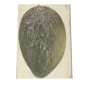 E Z ؂̎ re[W A |X^[  A } g Â re[W I[h fW^}X^[ CeA  A[g cybn-poster-472z