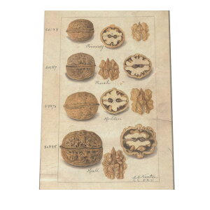 ؂̎  ibc  A |X^[ } g Â re[W I[h fW^}X^[ CeA  A[g Î  cybn-poster-477z