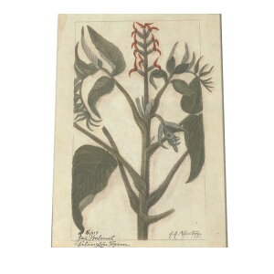 A t  {^jJ  A |X^[ } g Â re[W I[h fW^}X^[ CeA  A[g Î  cybn-poster-478z