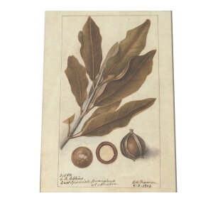 A t  {^jJ  A |X^[ } g Â re[W I[h fW^}X^[ CeA  A[g Î  cybn-poster-479z