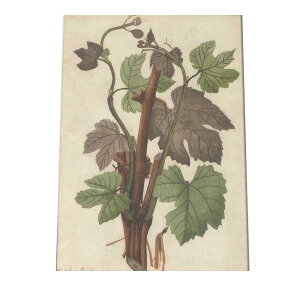 A t  {^jJ  A |X^[ } g Â re[W I[h fW^}X^[ CeA  A[g Î  cybn-poster-484z