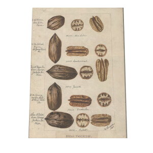 ؂̎  ibc  A |X^[ } g Â re[W I[h fW^}X^[ CeA  A[g Î  cybn-poster-485z