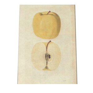  S Abv F ʕ  A |X^[ } g Â re[W I[h fW^}X^[ CeA  A[g Î  cybn-poster-495z