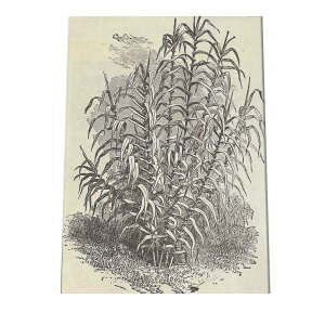 |X^[   mg[ } A ϗt  CeA  A[g _ a0 a1 a2 a3 a4 b0 b1 b2 b3 b4  傫  cybn-poster-4z