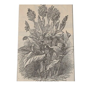 |X^[   mg[ } A ϗt  CeA  A[g _ a0 a1 a2 a3 a4 b0 b1 b2 b3 b4  傫  cybn-poster-50z