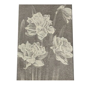 CO g |X^[   mg[ } A ϗt  CeA  A[g _ a0 a1 a2 a3 a4 b0 b1 b2 b3 b4  傫  cybn-poster-51z