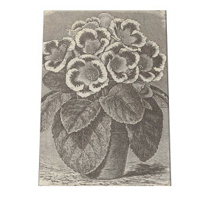 CO g |X^[   mg[ } A ϗt  CeA  A[g _ a0 a1 a2 a3 a4 b0 b1 b2 b3 b4  傫  cybn-poster-52z