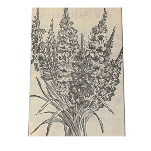 CO g |X^[   mg[ } A ϗt  CeA  A[g _ a0 a1 a2 a3 a4 b0 b1 b2 b3 b4  傫  cybn-poster-54z