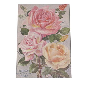 �C�O �r���e�[�W �|�X�^�[ ������ ���� ���m�g�[�� �}�� �A�� �ϗt �� �C���e���A ������� �A�[�g ���_�� a0 a1 a2 a3 a4 b0 b1 b2 b3 b4 ���� �傫�� ������ �c�ybn-poster-57�z