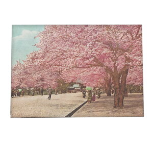 S {̕iʐ^ |X^[ Iׂ  tHg IV g  vJ fW^}X^[ iF Gt ZsA 吳ybn-poster-704z