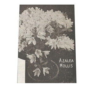 |X^[   mg[ } A ϗt  CeA  A[g _ a0 a1 a2 a3 a4 b0 b1 b2 b3 b4  傫  cybn-poster-7z