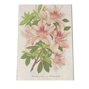 |X^[  A CeA  g  } i`  G   a0 a1 a2 a3 a4 b0 b1 b2 b3 b4  傫  cybn-poster-874z