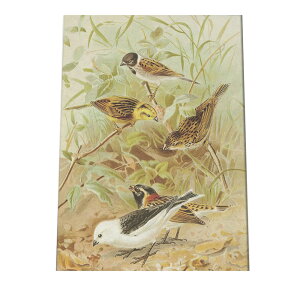 |X^[   k Aj}  CeA  tHg g Â AeB[N _ a0 a1 a2 a3 a4 b0 b1 b2 b3 b4  傫  cybn-poster-878z