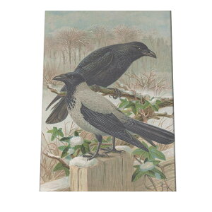 |X^[   k Aj}  CeA  tHg g Â AeB[N _ a0 a1 a2 a3 a4 b0 b1 b2 b3 b4  傫  cybn-poster-883z