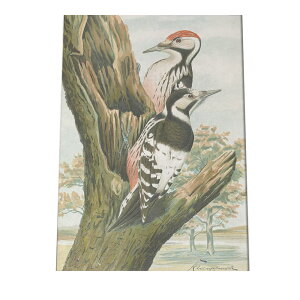 |X^[   k Aj}  CeA  tHg g Â AeB[N _ a0 a1 a2 a3 a4 b0 b1 b2 b3 b4  傫  cybn-poster-886z