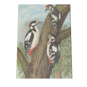 |X^[   k Aj}  CeA  tHg g Â AeB[N _ a0 a1 a2 a3 a4 b0 b1 b2 b3 b4  傫  cybn-poster-887z