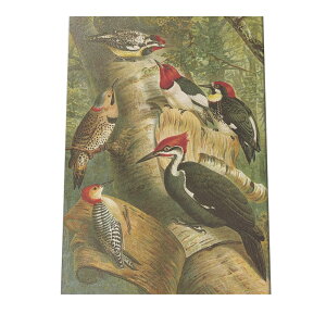 |X^[   k Aj}  CeA  tHg g Â AeB[N _ a0 a1 a2 a3 a4 b0 b1 b2 b3 b4  傫  cybn-poster-890z