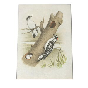 |X^[   k Aj}  CeA  tHg g Â AeB[N _ a0 a1 a2 a3 a4 b0 b1 b2 b3 b4  傫  cybn-poster-892z