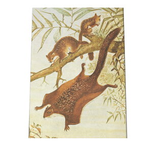 |X^[  K X k Aj}  CeA  tHg g Â AeB[N _ a0 a1 a2 a3 a4 b0 b1 b2 b3 b4  傫  cybn-poster-897z