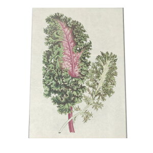 |X^[  A CeA  g  } i`  G   a0 a1 a2 a3 a4 b0 b1 b2 b3 b4  傫  cybn-poster-902z