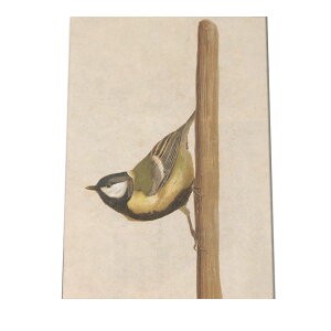 |X^[   k Aj}  CeA  tHg g Â AeB[N _ a0 a1 a2 a3 a4 b0 b1 b2 b3 b4  傫  cybn-poster-904z