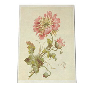 |X^[  A CeA  g  } i`  G   a0 a1 a2 a3 a4 b0 b1 b2 b3 b4  傫  cybn-poster-905z