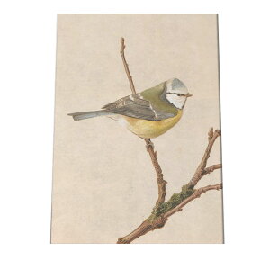 |X^[   k Aj}  CeA  tHg g Â AeB[N _ a0 a1 a2 a3 a4 b0 b1 b2 b3 b4  傫  cybn-poster-906z