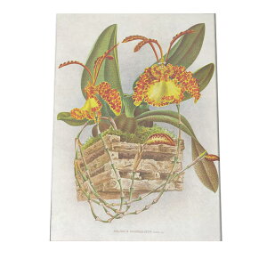 |X^[  A CeA  g  } i`  G   a0 a1 a2 a3 a4 b0 b1 b2 b3 b4  傫  cybn-poster-909z