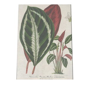 |X^[  A CeA  g  } i`  G   a0 a1 a2 a3 a4 b0 b1 b2 b3 b4  傫  cybn-poster-912z