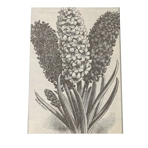 |X^[   mg[ } A ϗt  CeA  A[g _ a0 a1 a2 a3 a4 b0 b1 b2 b3 b4  傫  cybn-poster-9z