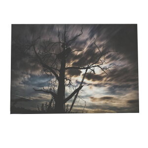 A VGbg  |X^[ yIׂSTCYpz |X^[ tHg t[ IV A[g _ mN  g a0 a1 a2 a3 a4 b0 b1 b2 b3 b4  傫  yki-poster-123