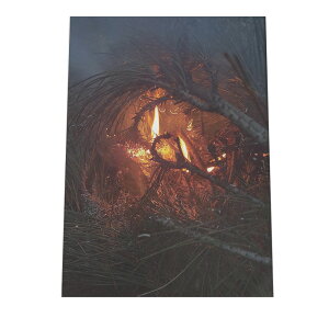   IW M |X^[ yIׂSTCYpz |X^[ tHg t[ IV A[g _  Lv t@CA  IW gF  ~ zI t@C[ a0 a1 a2 a3 