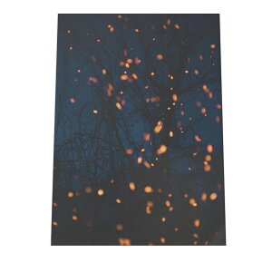  IW gF  ~ |X^[ yIׂSTCYpz |X^[ tHg t[ IV A[g _  Lv t@CA zI t@C[ a0 a1 a2 a3 a4 b0 b1 b2 b3 b4  