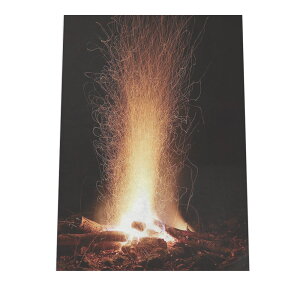 Lv   IW M |X^[ yIׂSTCYpz |X^[ tHg t[ IV A[g _  Lv t@CA  IW gF  ~ zI t@C[