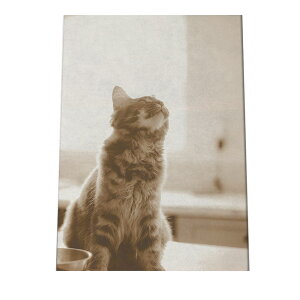 |X^[ yIׂSTCYpz |X^[ tHg t[ IV A[g _ ybg L  JCC   ˂  t@[ a0 a1 a2 a3 a4 b0 b1 b2 b3 b4  傫  cyki-po