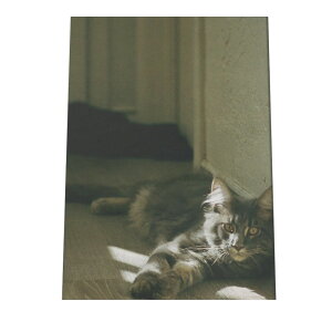 |X^[ yIׂSTCYpz |X^[ tHg t[ IV A[g _ ybg L  JCC   ˂  t@[ a0 a1 a2 a3 a4 b0 b1 b2 b3 b4  傫  cyki-po