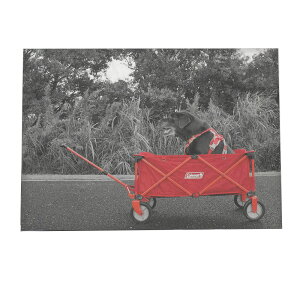 Lv   |X^[ yIׂSTCYpz CeA tHg IV A[g _ yki-poster-32z