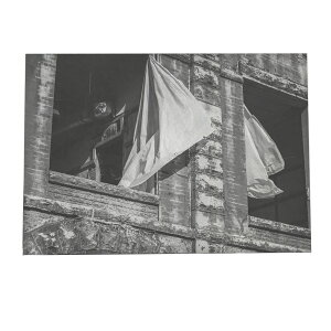 _  X O j[[N X |X^[ yIׂSTCYpz |X^[ tHg t[ yki-poster-86z