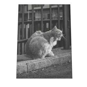 |X^[ yIׂSTCYpz |X^[ tHg t[ IV A[g _ mN  g Be[W a ZsA C_XgA a0 a1 a2 a3 a4 b0 b1 b2 b3 b4  傫