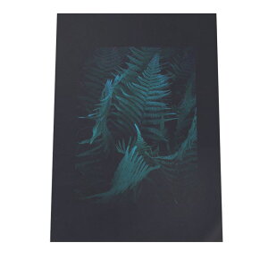 V_ A ubNA[g  |X^[ yIׂSTCYpz A[gvg |X^[ CeA  t@bV |X^[ tHg t[ IV A[g _